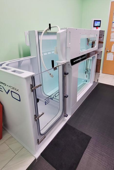 Aquatic Therapy Pool
